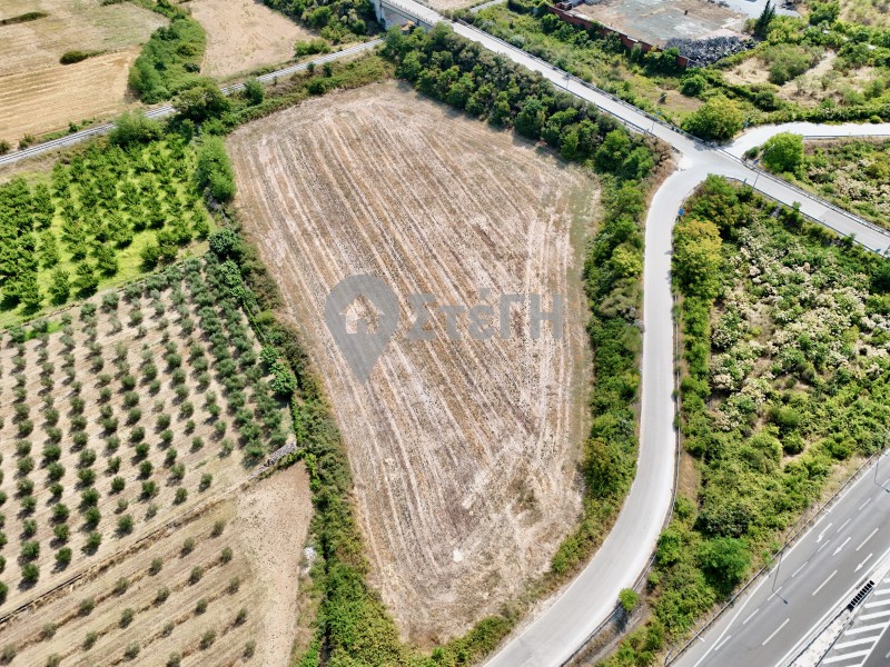 Αγροτεμάχια 13.570 τ.μ. προς πώληση, Πατρίδα