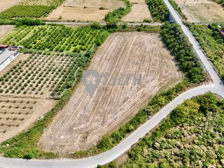 Αγροτεμάχια 13.570 τ.μ. για πώληση, Ημαθία, Δοβρά-thumb-6