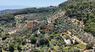 Μονοκατοικία 52 τ.μ. για πώληση