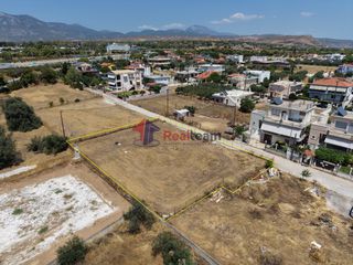 Οικόπεδο 1.004,32 τ.μ. για πώληση