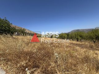 Αγροτεμάχια 4.920 τ.μ. για πώληση, Αττική - Υπόλοιπο, Κερατέα-thumb-2