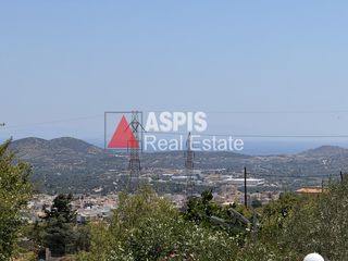 Αγροτεμάχια 4.920 τ.μ. για πώληση