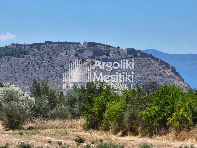 Αγροτεμάχια 3.784 τ.μ. προς πώληση, Αγία Κυριακή Ναυπλίου