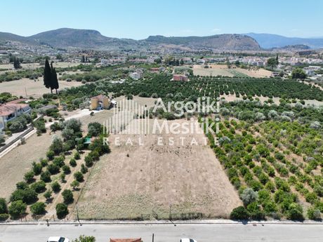Αγροτεμάχια 3.784 τ.μ. προς πώληση