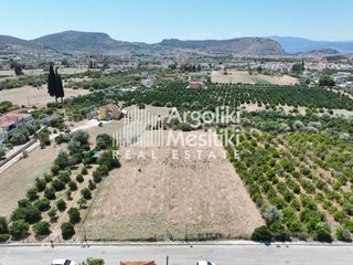 Αγροτεμάχια 3.784 τ.μ. για πώληση