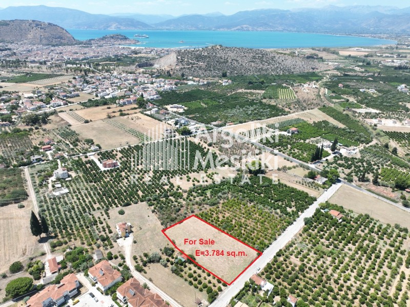 Αγροτεμάχια 3.784 τ.μ. προς πώληση, Αγία Κυριακή Ναυπλίου