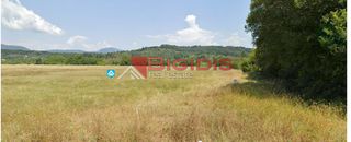 Αγροτεμάχια 4.411 τ.μ. για πώληση