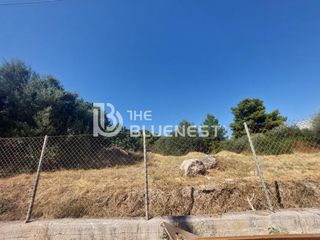 Οικόπεδο 4.200 τ.μ. για πώληση