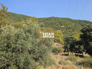 Αγροτεμάχια 490 τ.μ. για πώληση, Ν. Καβάλας, Ελευθερές-thumb-1