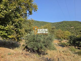 Αγροτεμάχια 490 τ.μ. για πώληση, Ν. Καβάλας, Ελευθερές-thumb-7