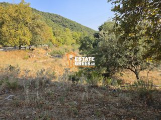 Αγροτεμάχια 490 τ.μ. για πώληση, Ν. Καβάλας, Ελευθερές-thumb-5