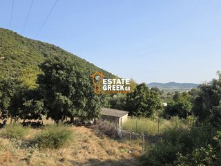 Αγροτεμάχια 490 τ.μ. για πώληση, Ν. Καβάλας, Ελευθερές-thumb-6