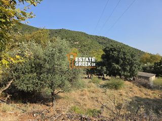 Αγροτεμάχια 490 τ.μ. για πώληση, Ν. Καβάλας, Ελευθερές-thumb-4