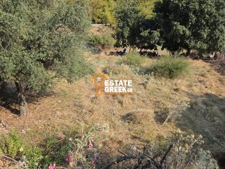 Αγροτεμάχια 490 τ.μ. για πώληση, Ν. Καβάλας, Ελευθερές-thumb-3