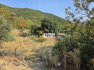 Αγροτεμάχια 490 τ.μ. για πώληση, Ν. Καβάλας, Ελευθερές-thumb-2