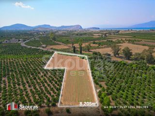 Αγροτεμάχια 8.205,68 τ.μ. για πώληση