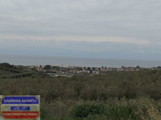 Οικόπεδο 12.300 τ.μ. πρός πώληση, Ν. Καβάλας, Ορφανό-thumb-3