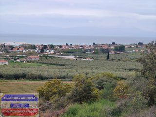 Οικόπεδο 12.300 τ.μ. για πώληση