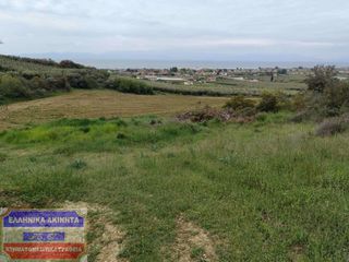 Οικόπεδο 12.300 τ.μ. πρός πώληση, Ν. Καβάλας, Ορφανό-thumb-2
