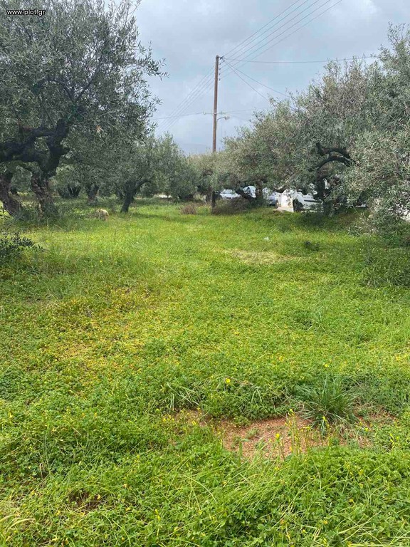 Οικόπεδο 667 τ.μ. πρός πώληση, Ν. Λασιθίου, Μακρύς Γιαλός