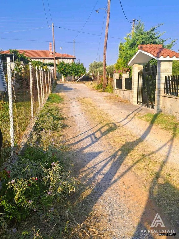 Αγροτεμάχια 600 τ.μ. πρός πώληση, Χαλκιδική, Καλλικράτεια