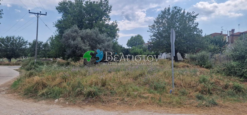 Οικόπεδο 350 τ.μ. πρός πώληση, Χαλκιδική, Παναγιά