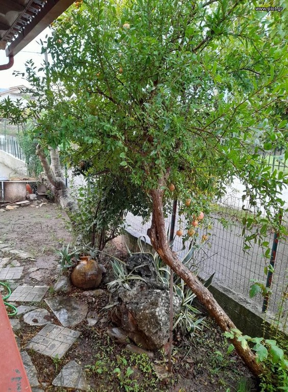 Μονοκατοικία 75 τ.μ. προς πώληση, Μεσσηνία, Μελιγαλά