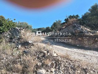 Αγροτεμάχια 10.222 τ.μ. για πώληση, Ν. Ρεθύμνου, Λάππα-thumb-14