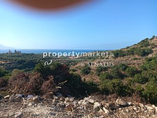 Αγροτεμάχια 10.222 τ.μ. για πώληση, Ν. Ρεθύμνου, Λάππα-thumb-10