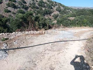 Αγροτεμάχια 10.222 τ.μ. για πώληση, Ν. Ρεθύμνου, Λάππα-thumb-6
