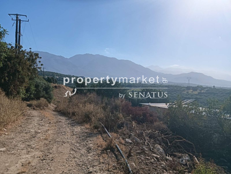Αγροτεμάχια 10.222 τ.μ. πρός πώληση, Ν. Ρεθύμνου, Λάππα