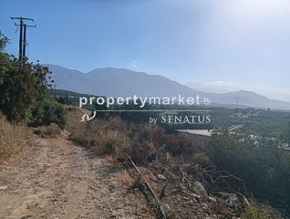 Αγροτεμάχια 10.222 τ.μ. για πώληση, Ν. Ρεθύμνου, Λάππα-thumb-1