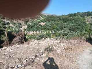 Αγροτεμάχια 10.222 τ.μ. για πώληση, Ν. Ρεθύμνου, Λάππα-thumb-5