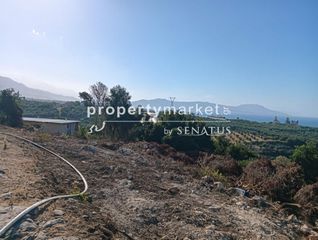 Αγροτεμάχια 10.222 τ.μ. για πώληση, Ν. Ρεθύμνου, Λάππα-thumb-3