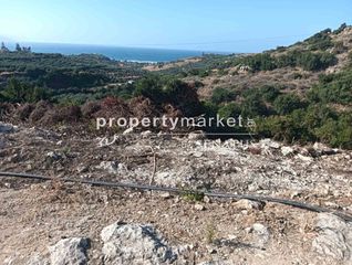 Αγροτεμάχια 10.222 τ.μ. για πώληση, Ν. Ρεθύμνου, Λάππα-thumb-7