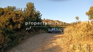 Αγροτεμάχια 10.222 τ.μ. για πώληση, Ν. Ρεθύμνου, Λάππα-thumb-17