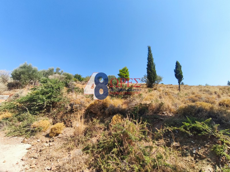 Οικόπεδο 2.638,37 τ.μ. προς πώληση, Πόλη Χίου