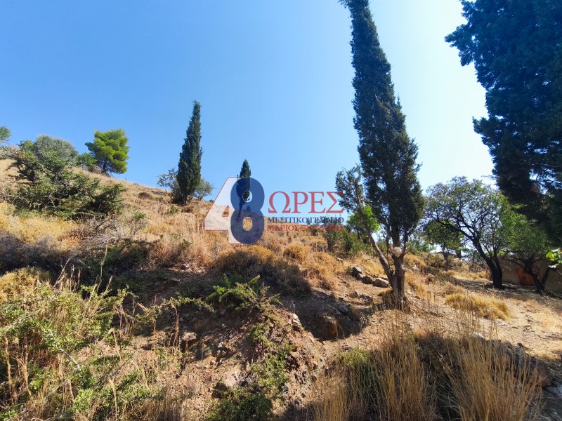Οικόπεδο 2.638,37 τ.μ. προς πώληση, Πόλη Χίου