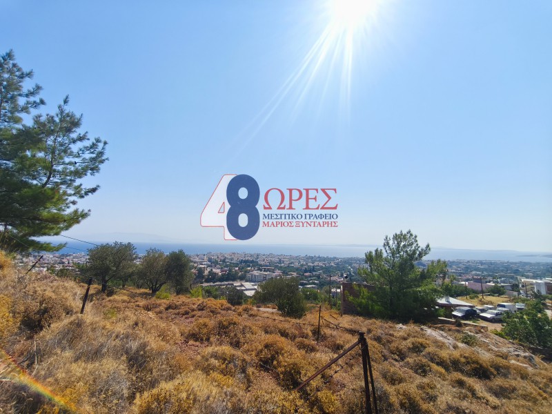 Οικόπεδο 2.638,37 τ.μ. προς πώληση, Πόλη Χίου