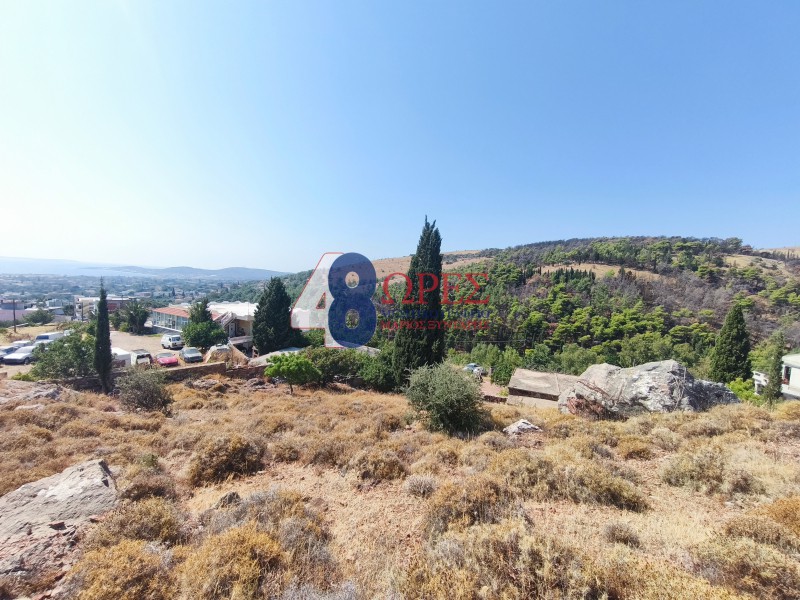 Οικόπεδο 2.638,37 τ.μ. προς πώληση, Πόλη Χίου