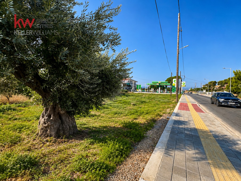 Οικόπεδο 336,82 τ.μ. προς πώληση, Αλιβέρι