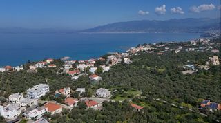 Αγροτεμάχια 305 τ.μ. για πώληση, Μεσσηνία, Αβία-thumb-7