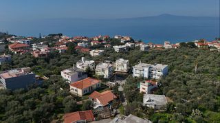 Αγροτεμάχια 305 τ.μ. για πώληση, Μεσσηνία, Αβία-thumb-14