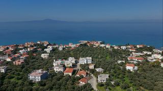 Αγροτεμάχια 305 τ.μ. για πώληση, Μεσσηνία, Αβία-thumb-4