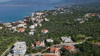 Αγροτεμάχια 305 τ.μ. για πώληση, Μεσσηνία, Αβία-thumb-10
