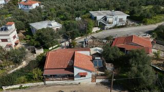 Αγροτεμάχια 305 τ.μ. για πώληση, Μεσσηνία, Αβία-thumb-17