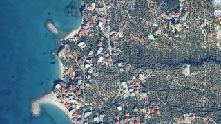 Αγροτεμάχια 305 τ.μ. για πώληση, Μεσσηνία, Αβία-thumb-16