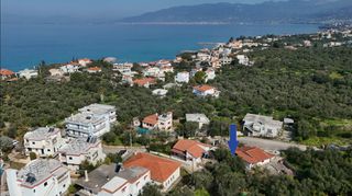 Αγροτεμάχια 305 τ.μ. για πώληση, Μεσσηνία, Αβία-thumb-2