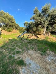 Οικόπεδο 400 τ.μ. προς πώληση, Πλατάνι Ρίου-thumb-12