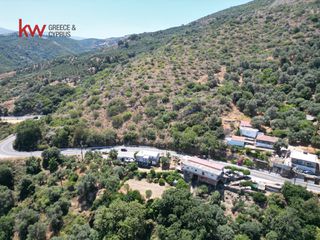 Οικόπεδο 1.320,40 τ.μ. για πώληση